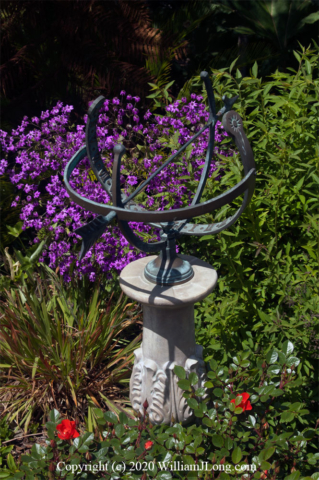 WJL-Flowers_and_Nature-0010