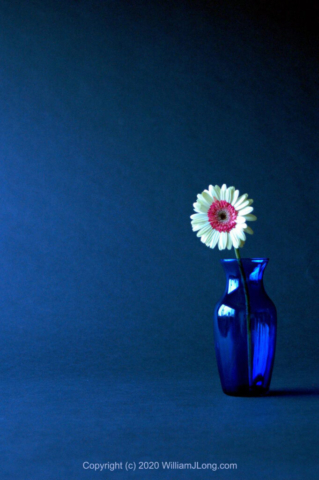 WJL-Flowers_and_Nature-0029