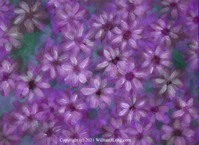 WJL-Flowers_and_Nature-0063