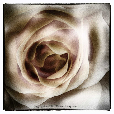 WJL-Flowers_and_Nature-0066