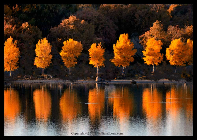 WJL-Flowers_and_Nature-0081