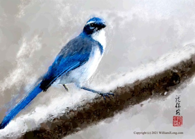 WJL-Flowers_and_Nature-0085