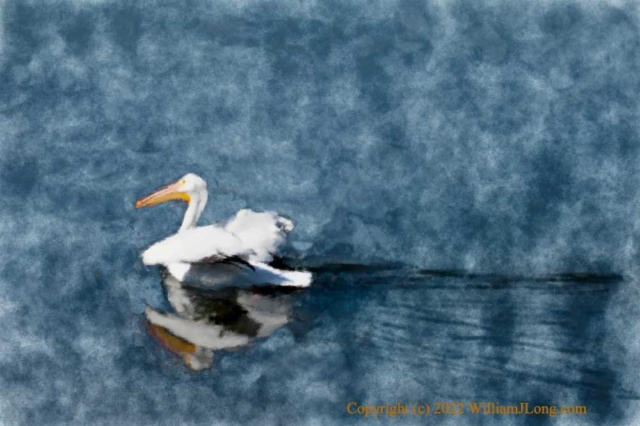 WJL-Flowers_and_Nature-0088