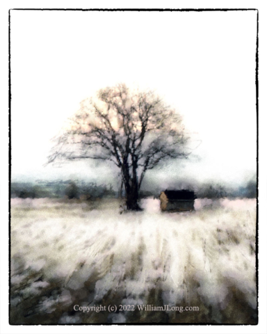 WJL-Flowers_and_Nature-0090