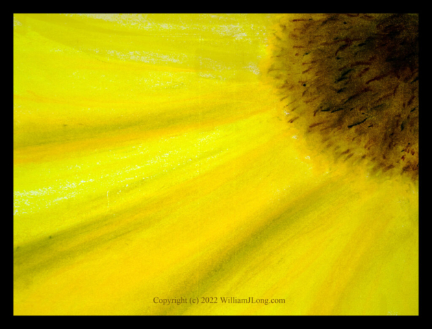 WJL-Flowers_and_Nature-0095