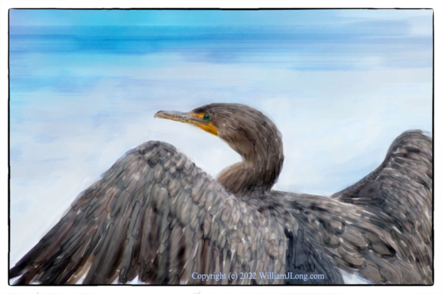 WJL-Flowers_and_Nature-0103