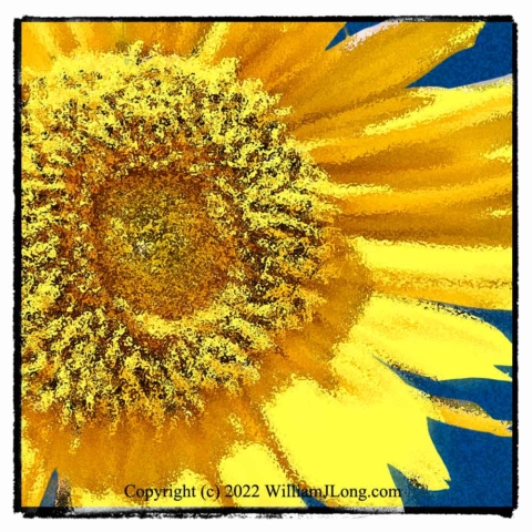 WJL-Flowers_and_Nature-0107