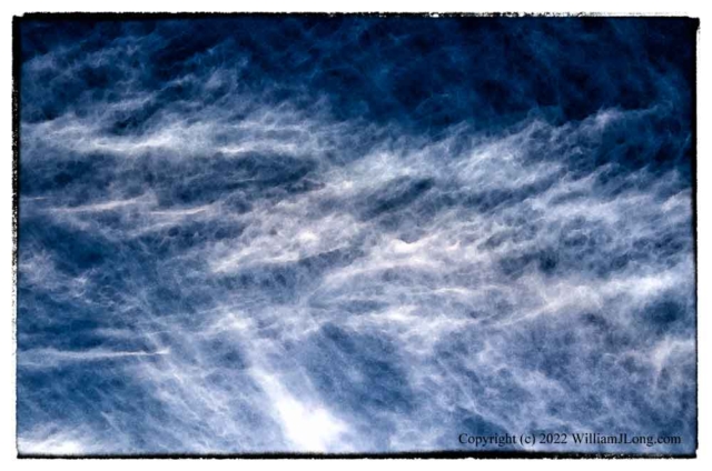 WJL-Flowers_and_Nature-0113