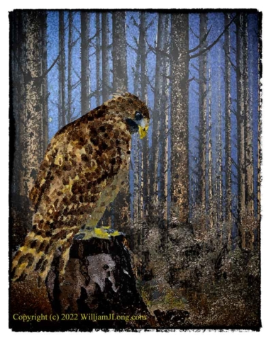 WJL-Flowers_and_Nature-0115