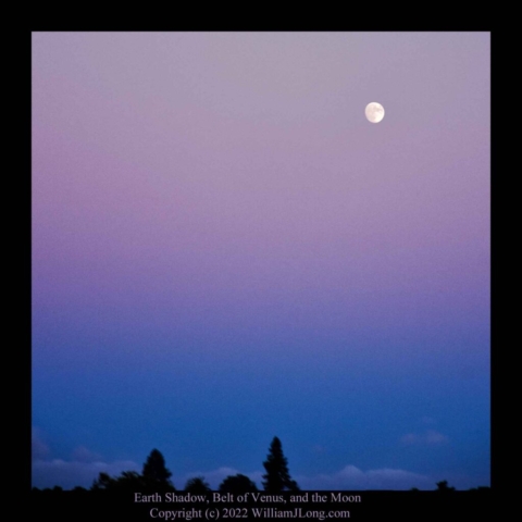 WJL-Flowers_and_Nature-0117