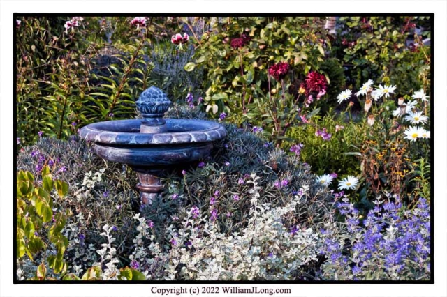 WJL-Flowers_and_Nature-0127