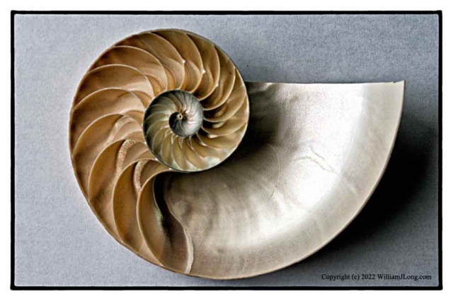 WJL-Flowers_and_Nature-0128