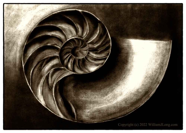 WJL-Flowers_and_Nature-0129